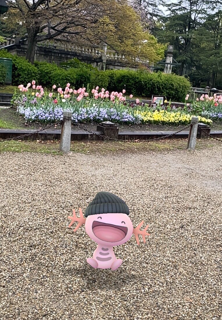 らぶゆ︎ tweet media