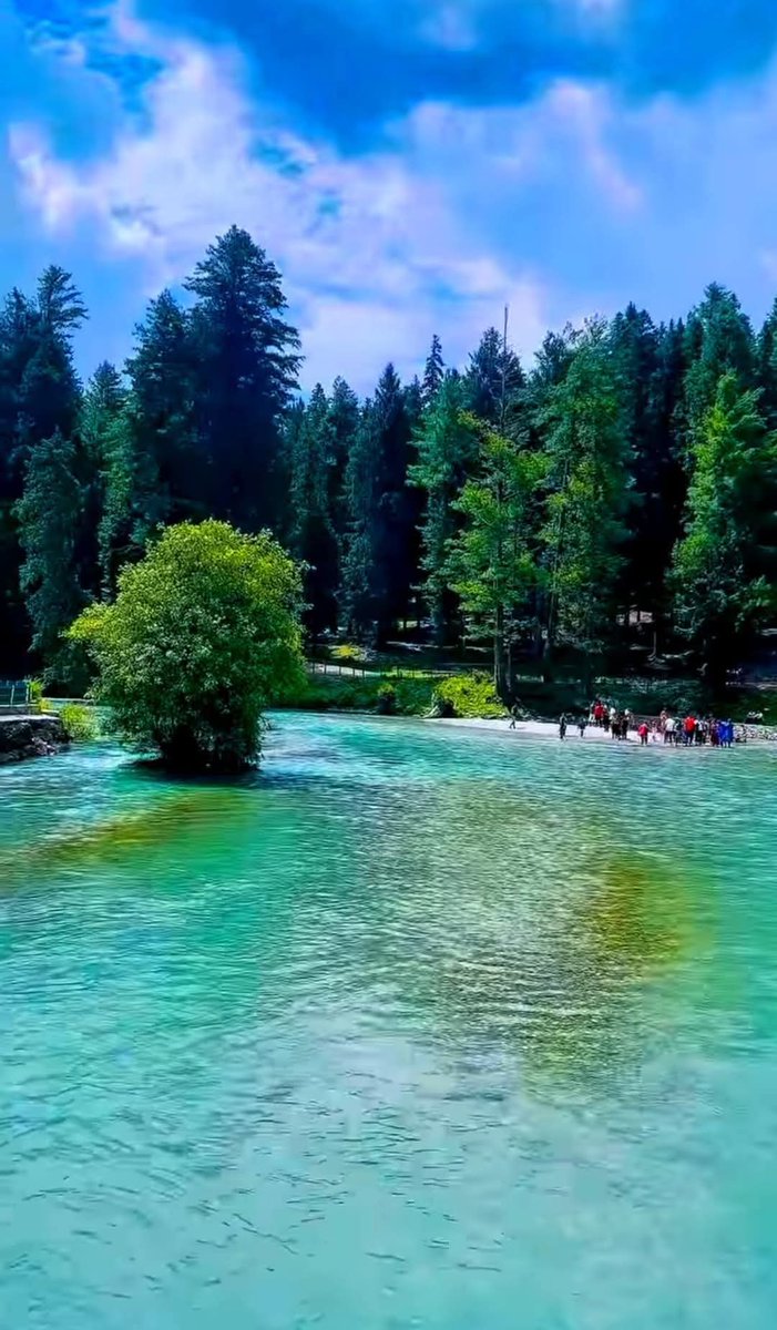 SheikhShah16043's tweet photo. Summer Season in Kashmir ❤️🌲
#TejRan #bbvipal5 #paobc #Iran #IranWar #Varanasi https://t.co/gQuyJvyGCC