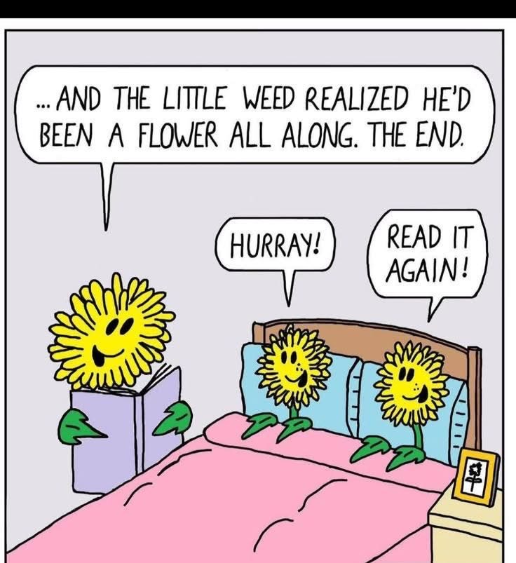 the garden gnome tweet media