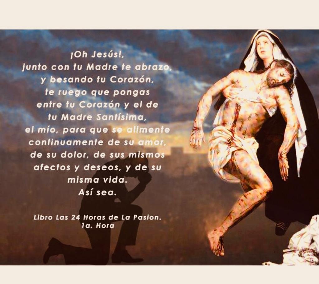 DIVINA VOLUNTAD tweet media