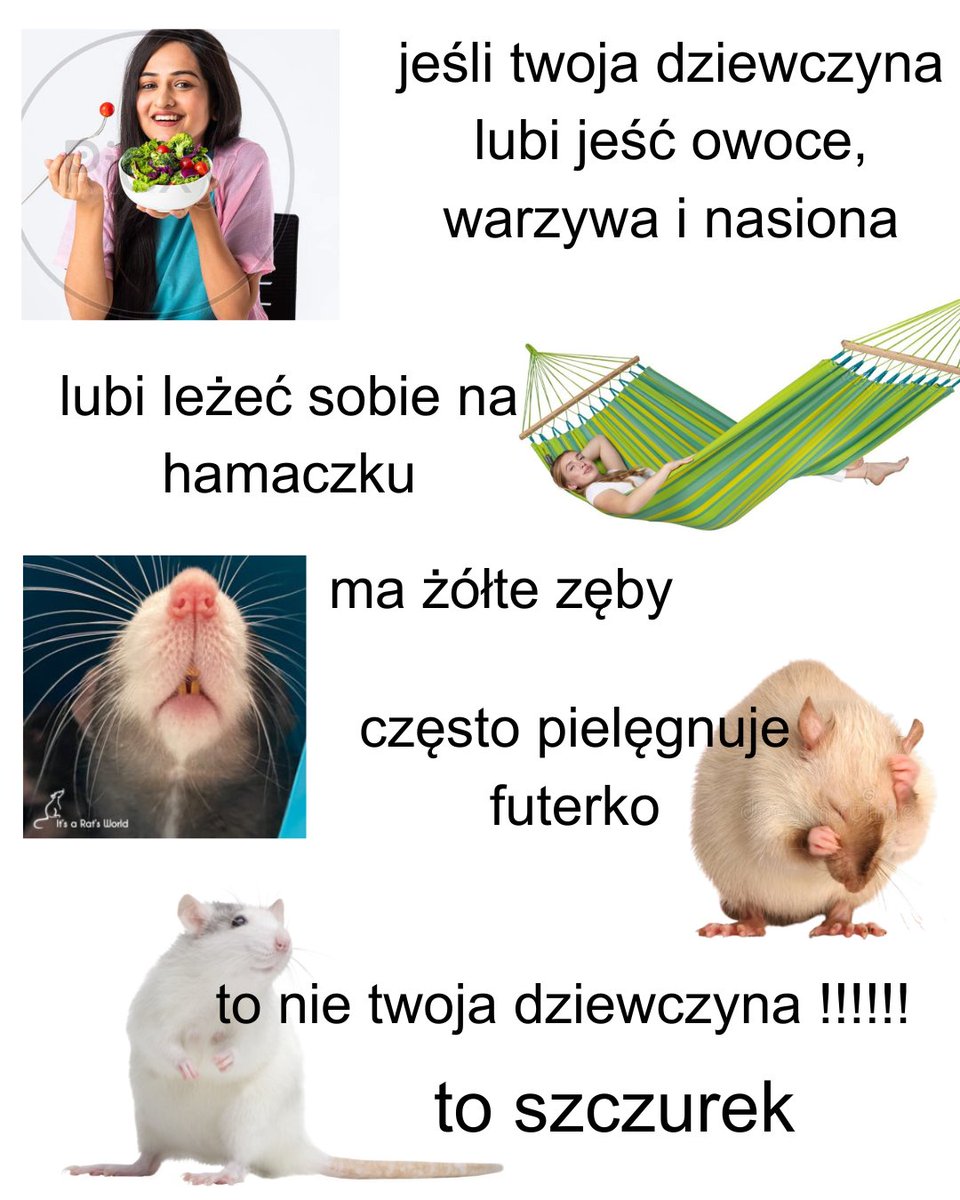 Michalina Kobla tweet media