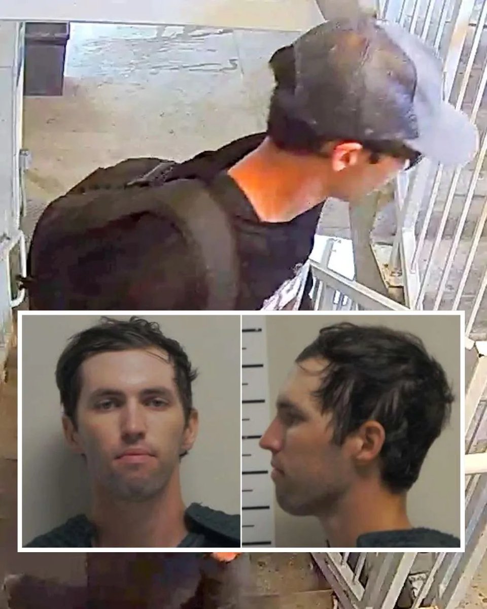 Sammy Lewis tweet media