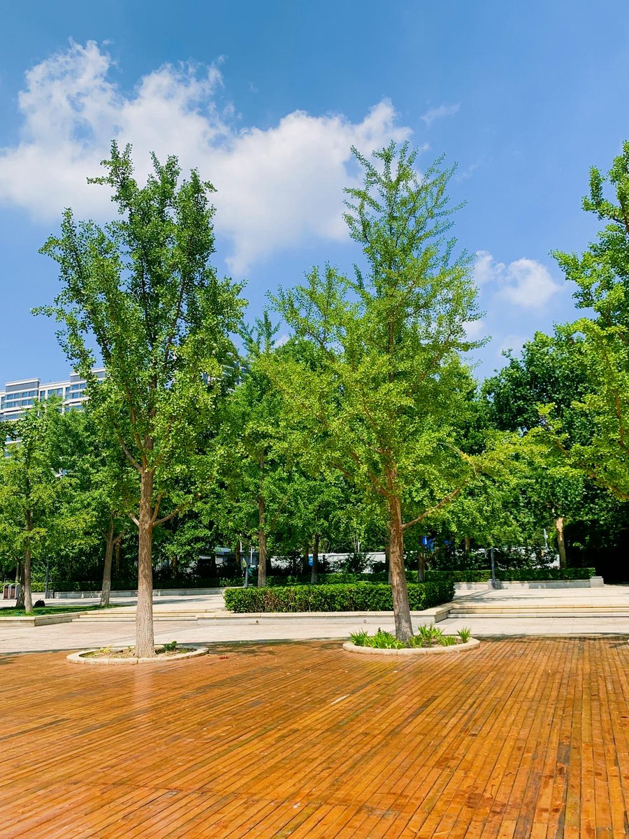 Deepak nagar tweet media