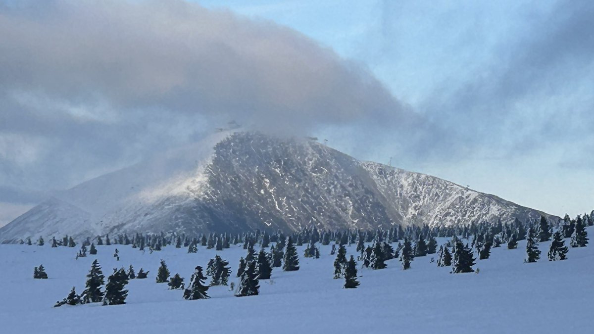 Karel Řehka tweet media