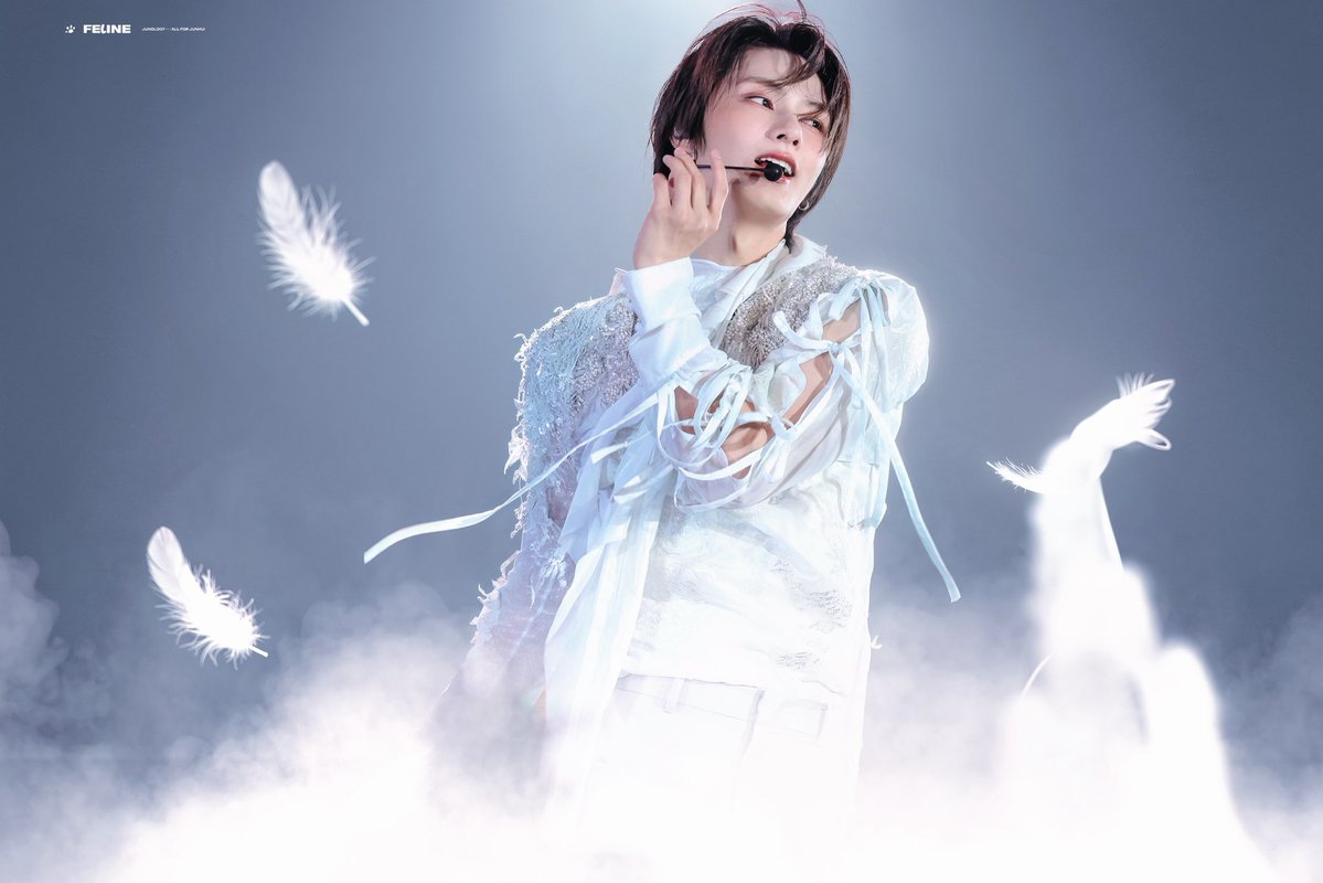 FELINE_JUNOLOGY tweet media