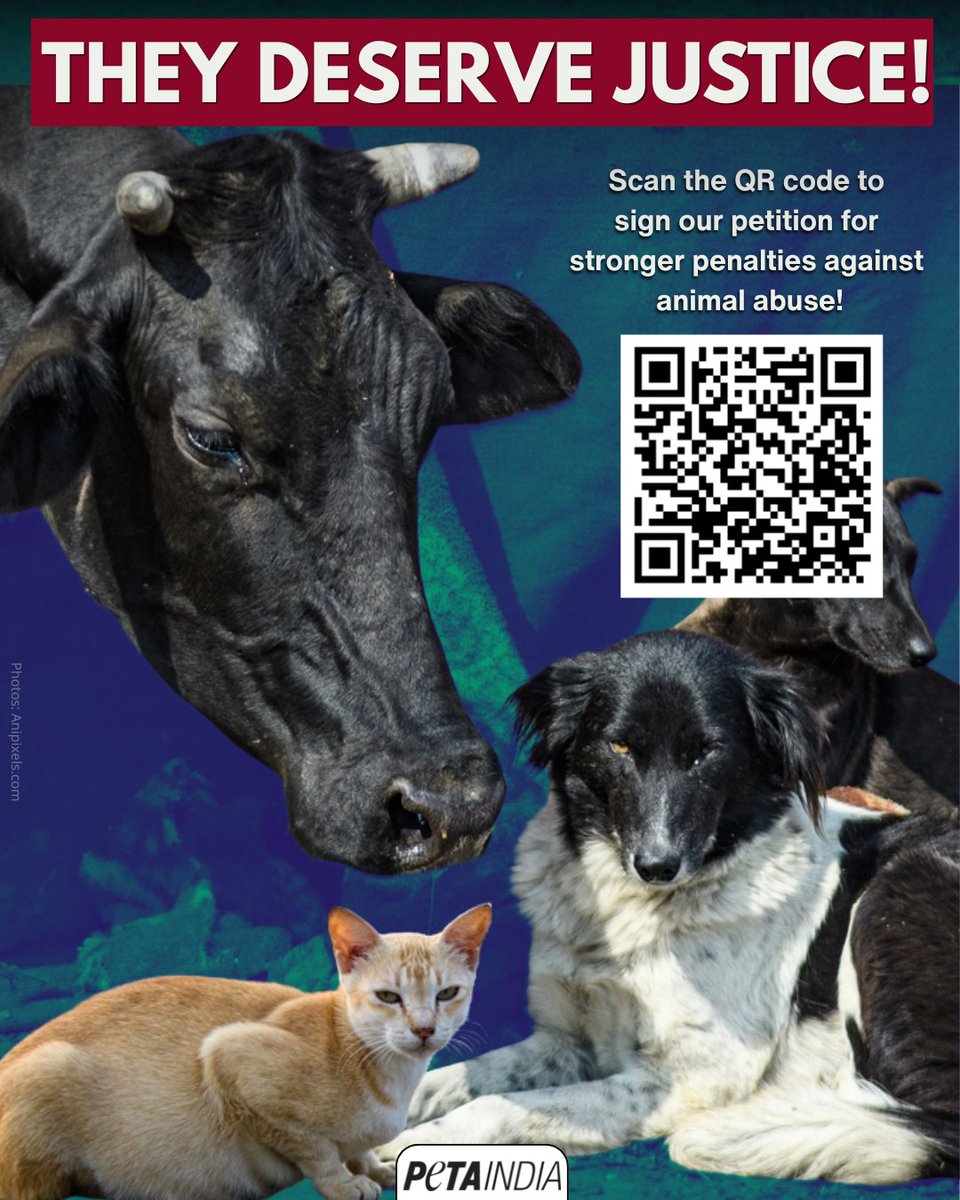 PETA India tweet media