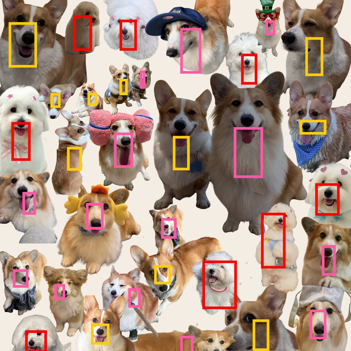 KaoSupassra Official page tweet media