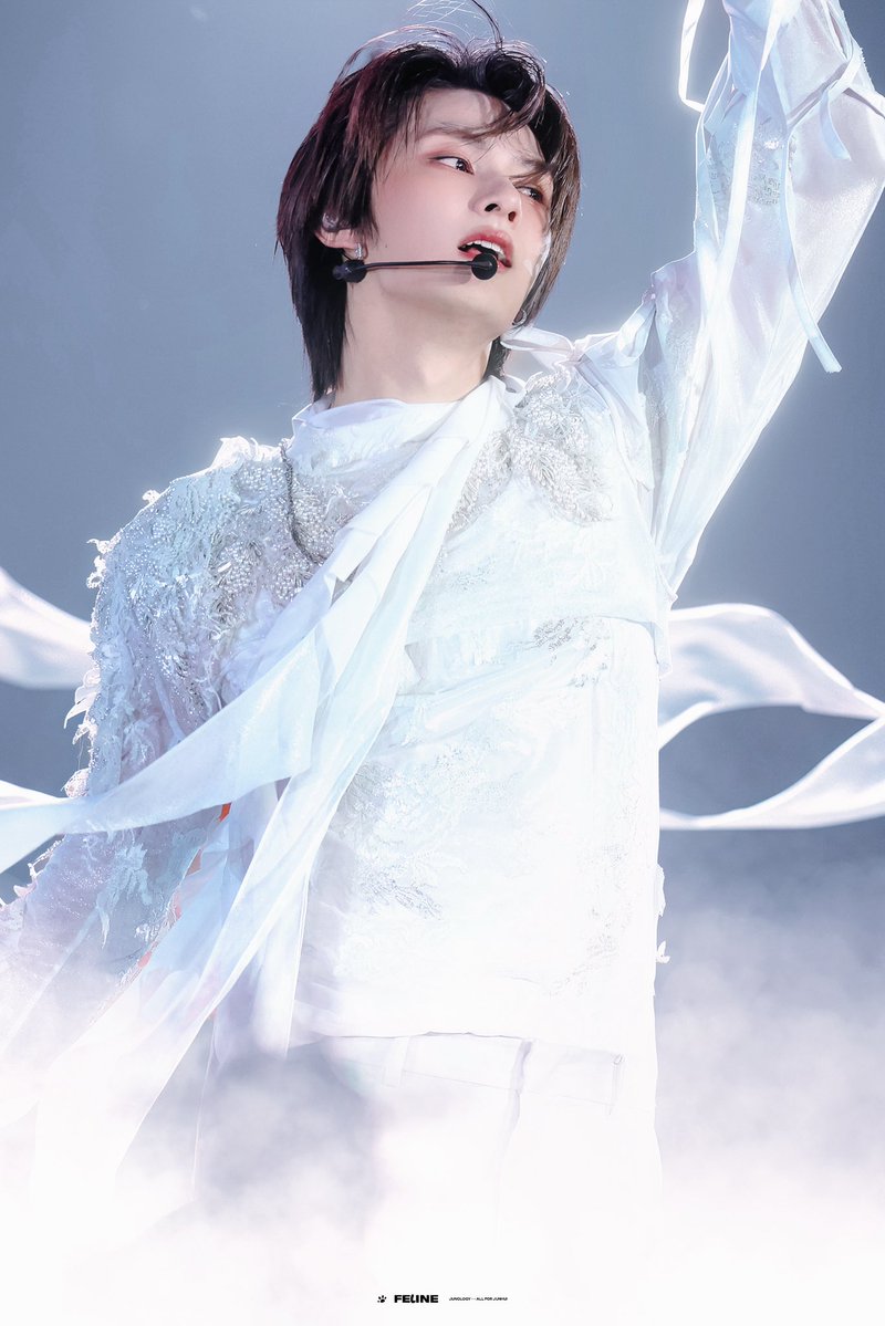 FELINE_JUNOLOGY tweet media