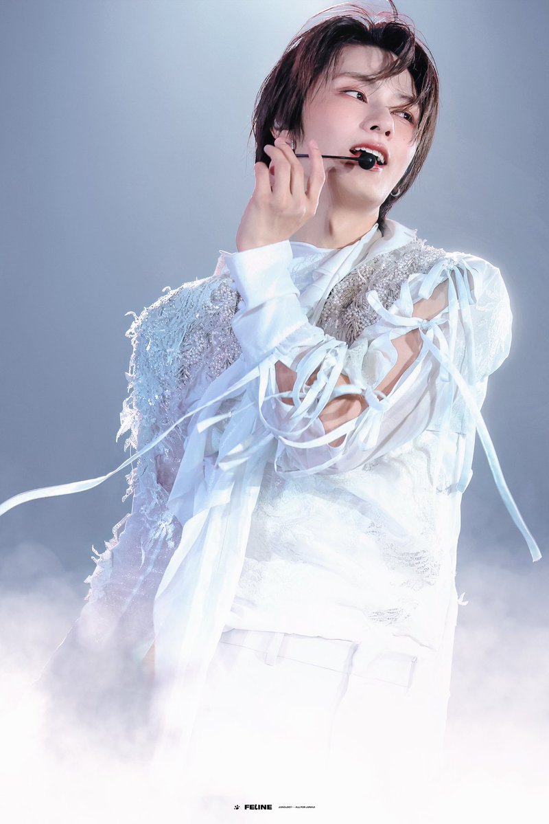 FELINE_JUNOLOGY tweet media