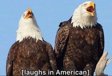 MoshiMoshiMoan tweet media