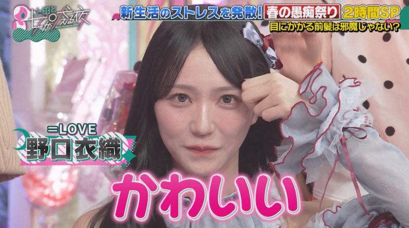 愛好家 tweet media