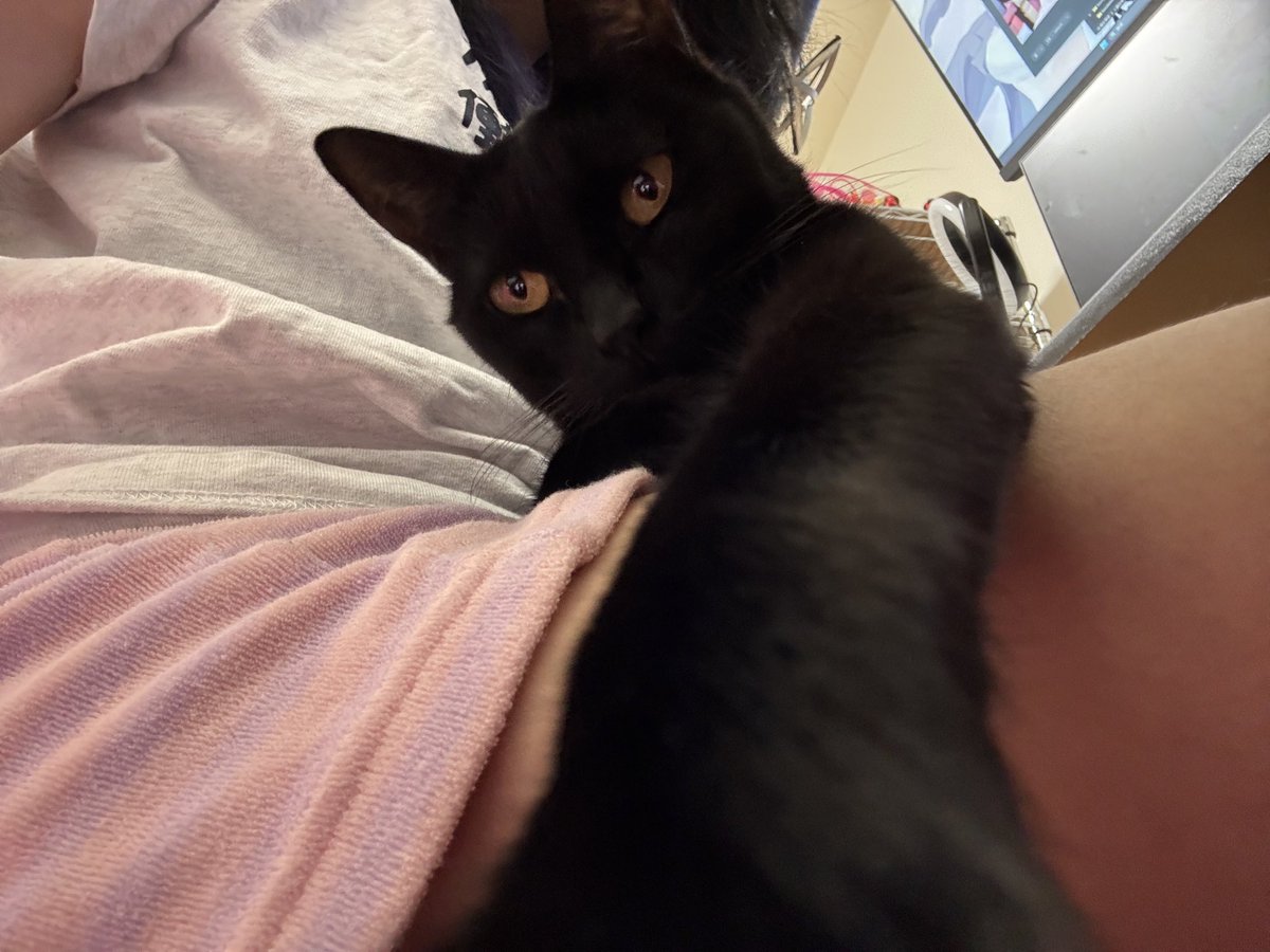 ksonSOUCHOU🍕 tweet media