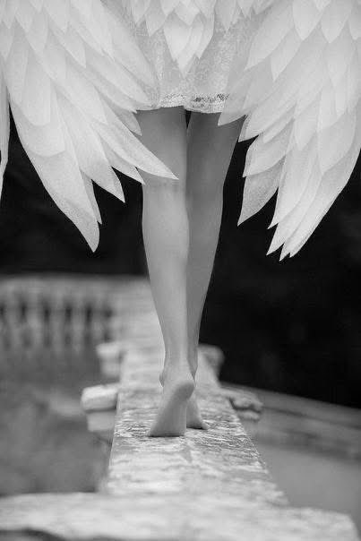 🏹 Нумын орд 🏹 tweet media