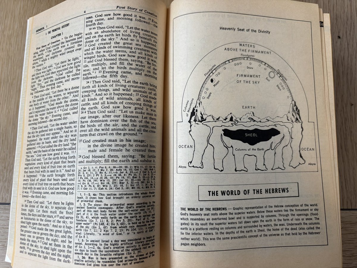 D Hagerman tweet media