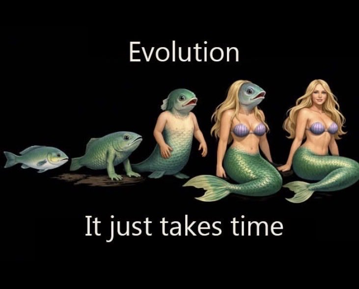 Jay Dedd tweet media