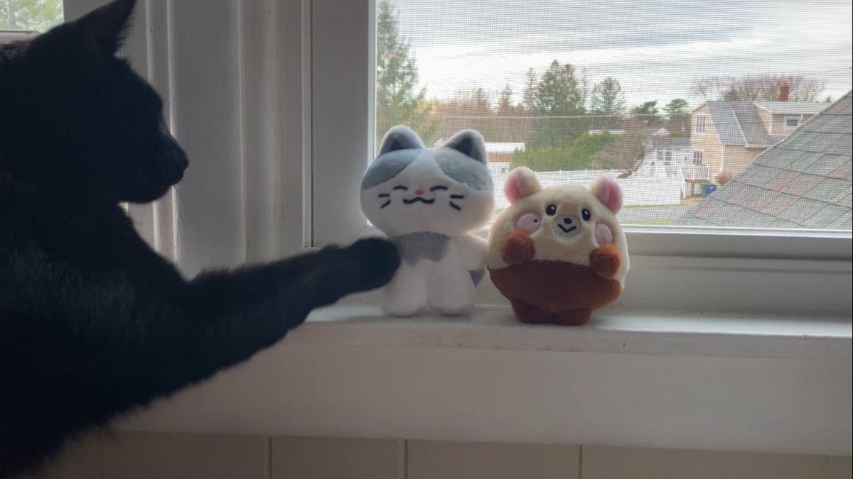 fran 🌪️ tweet media