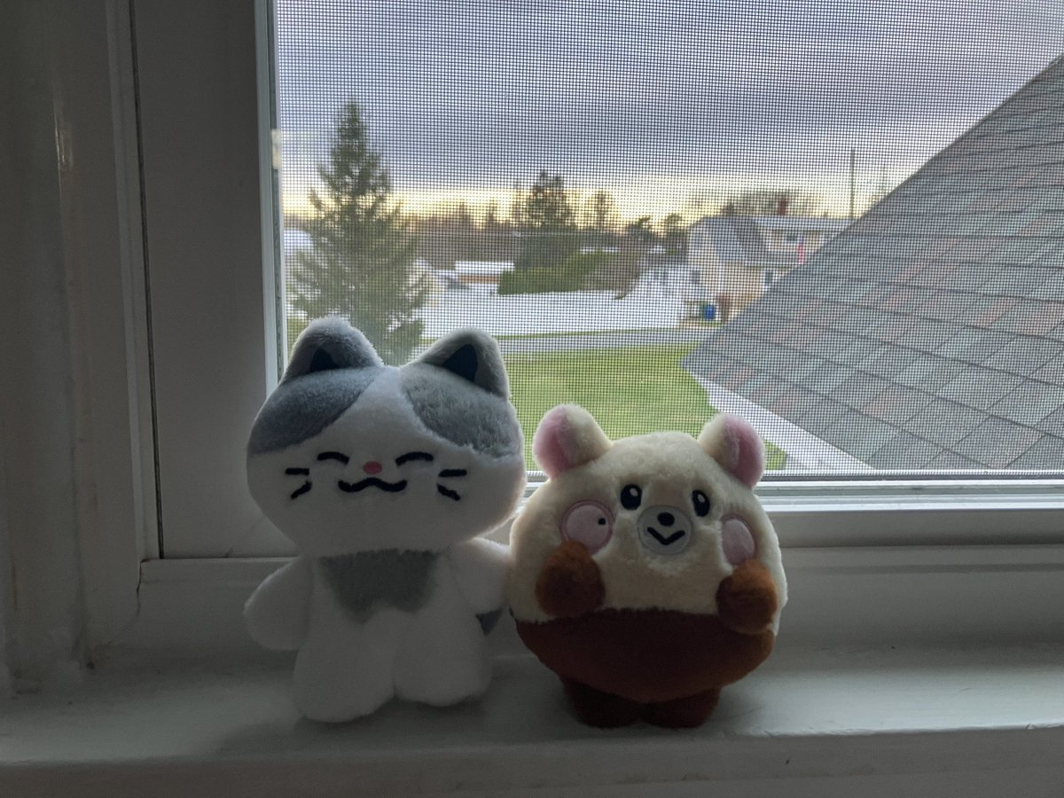 fran 🌪️ tweet media