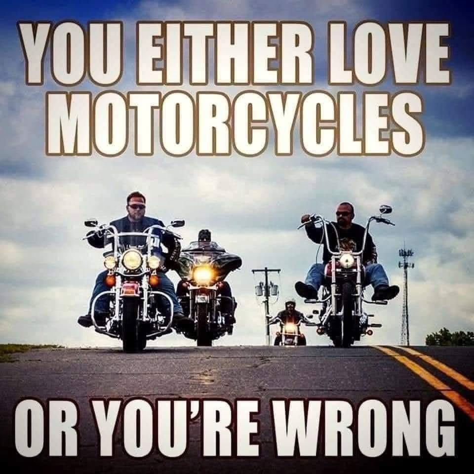 Paul Hutton tweet media