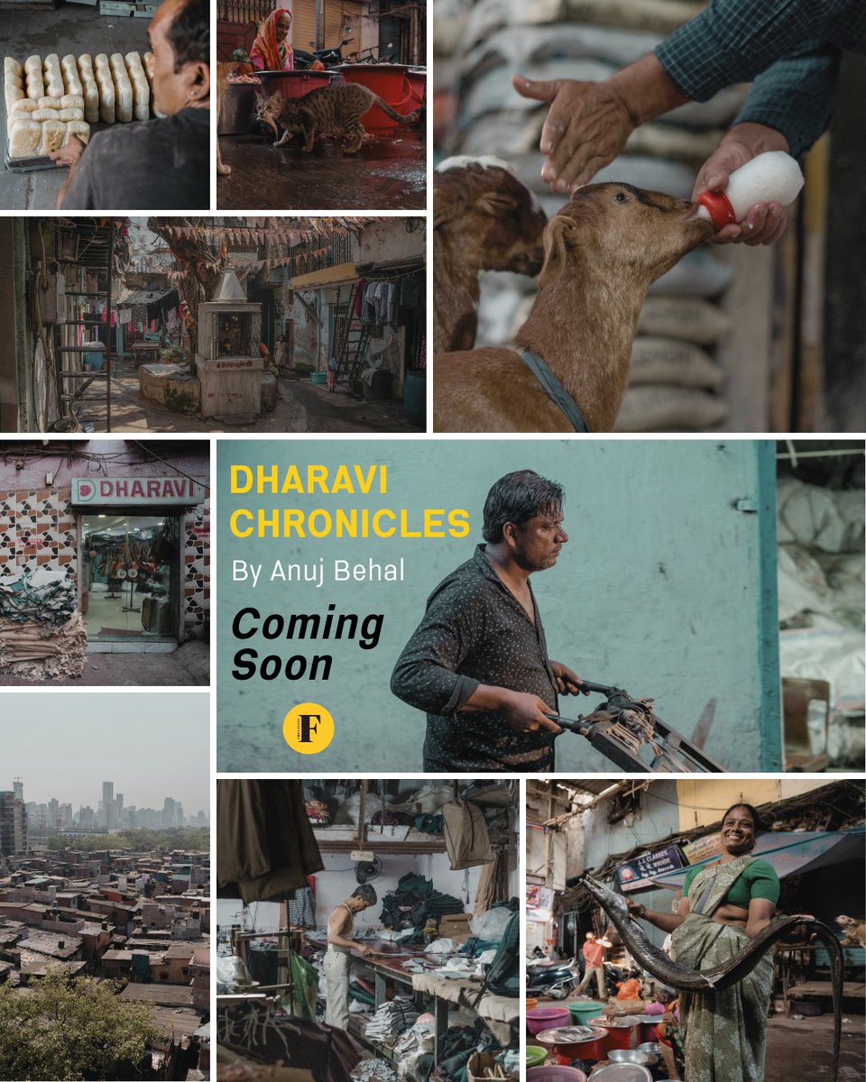 Frontline tweet media