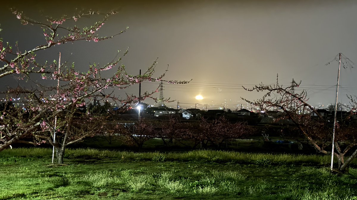 SATO•OFF®️ tweet media