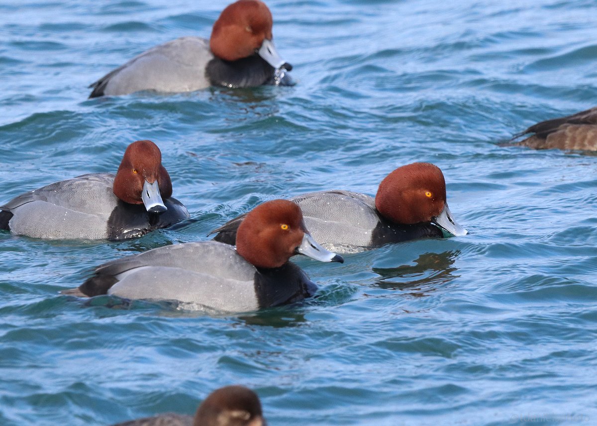 Terry Hlywka tweet media