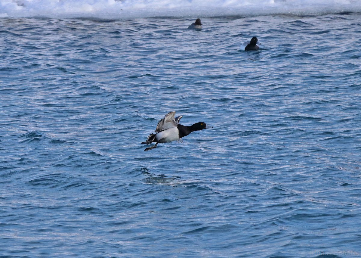 Terry Hlywka tweet media