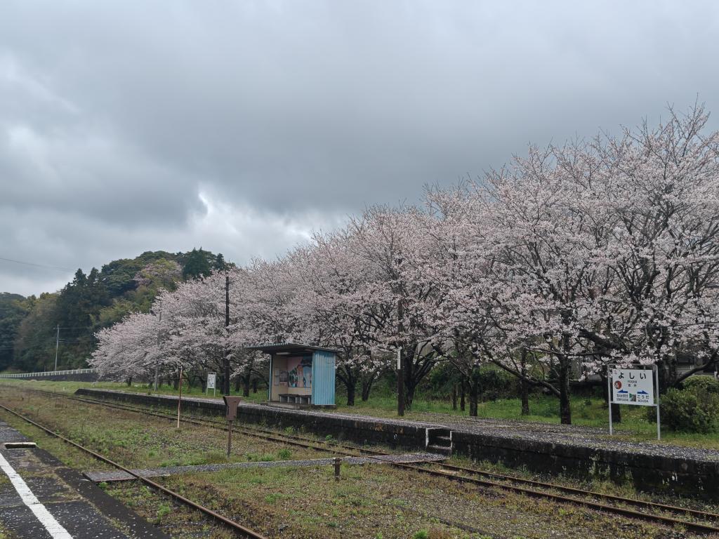 Yuki_55555's tweet photo. 実はいつもの場所の前に、
松浦鉄道に乗って吉井駅に行って来ました。

「運転席からの風景」（違ってたらごめんなさい）を見て、去年から行ってみたかったのです。 https://t.co/3k4H0nffNs