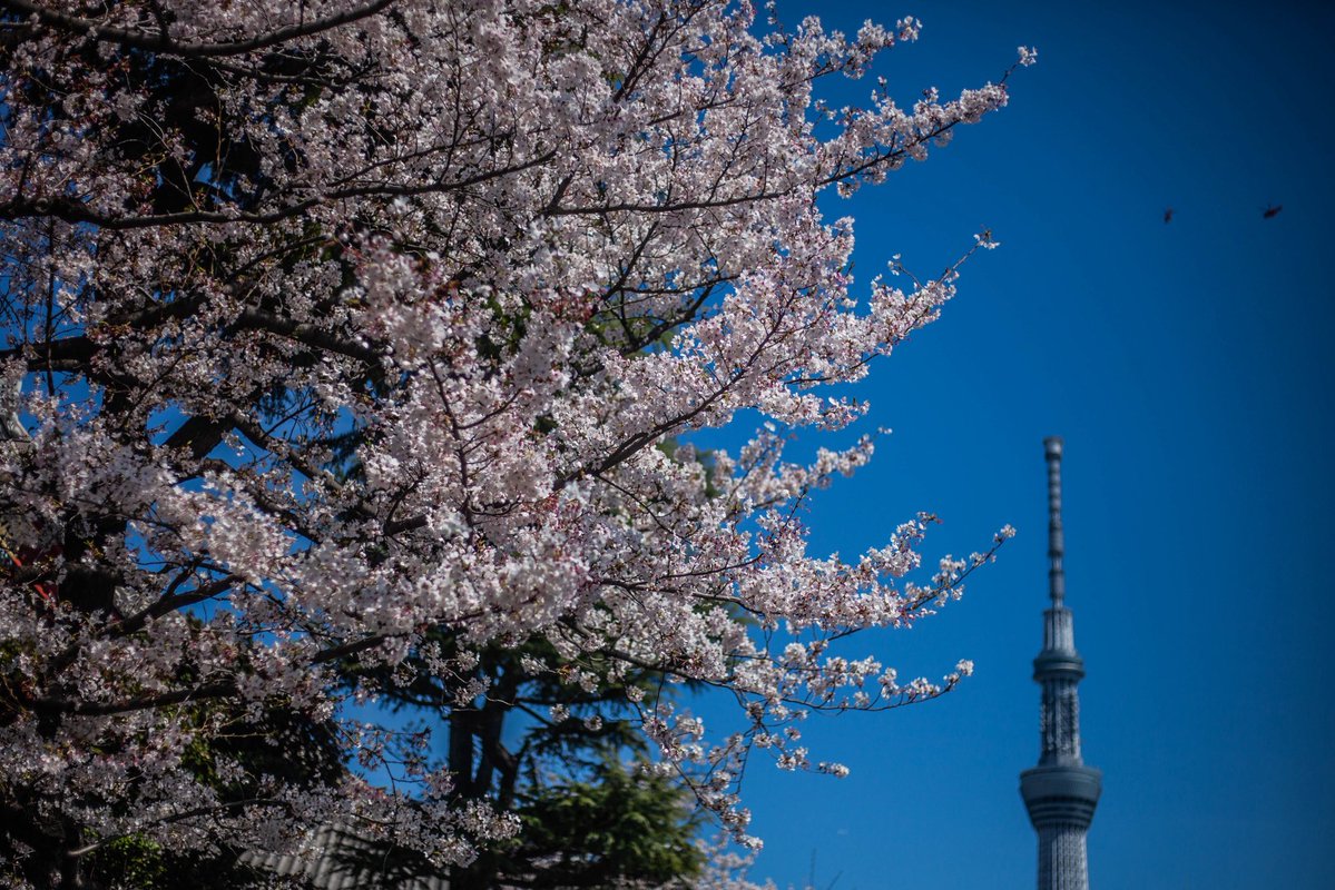 roncan0914 tweet media