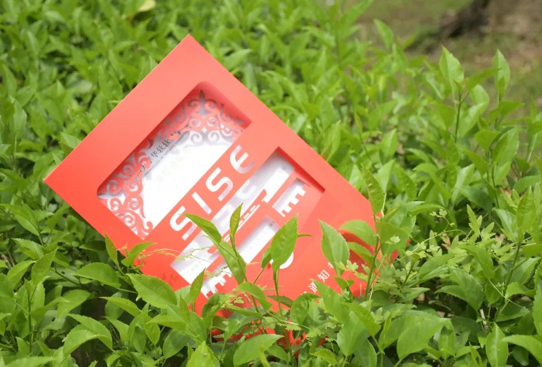 Dhananjay Hausajee Barsole tweet media