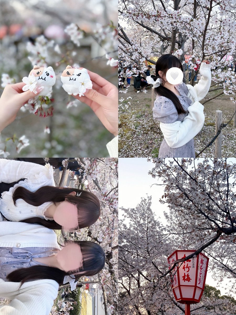 ‎⌒☆ tweet media