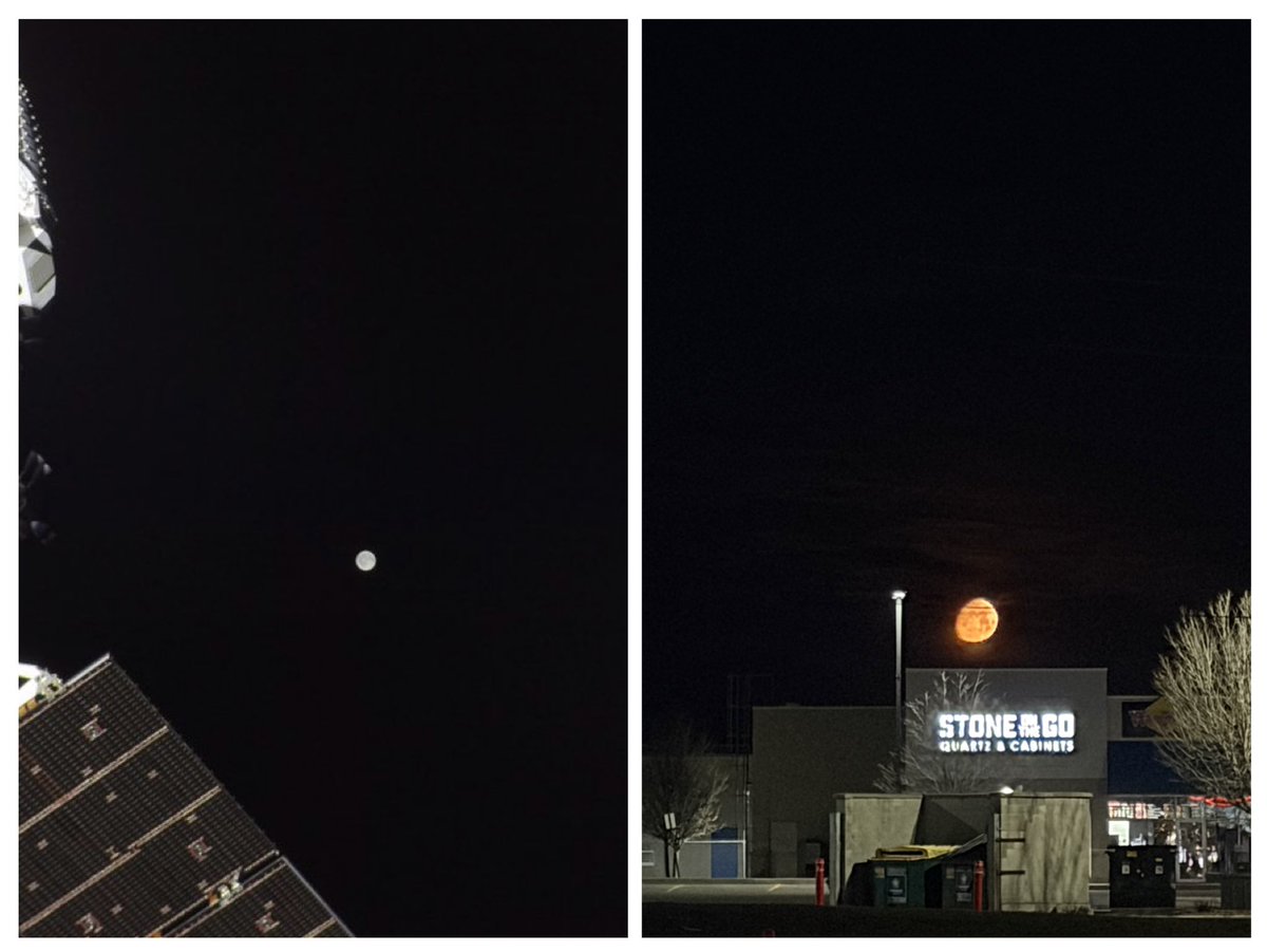 Chris Ford tweet media