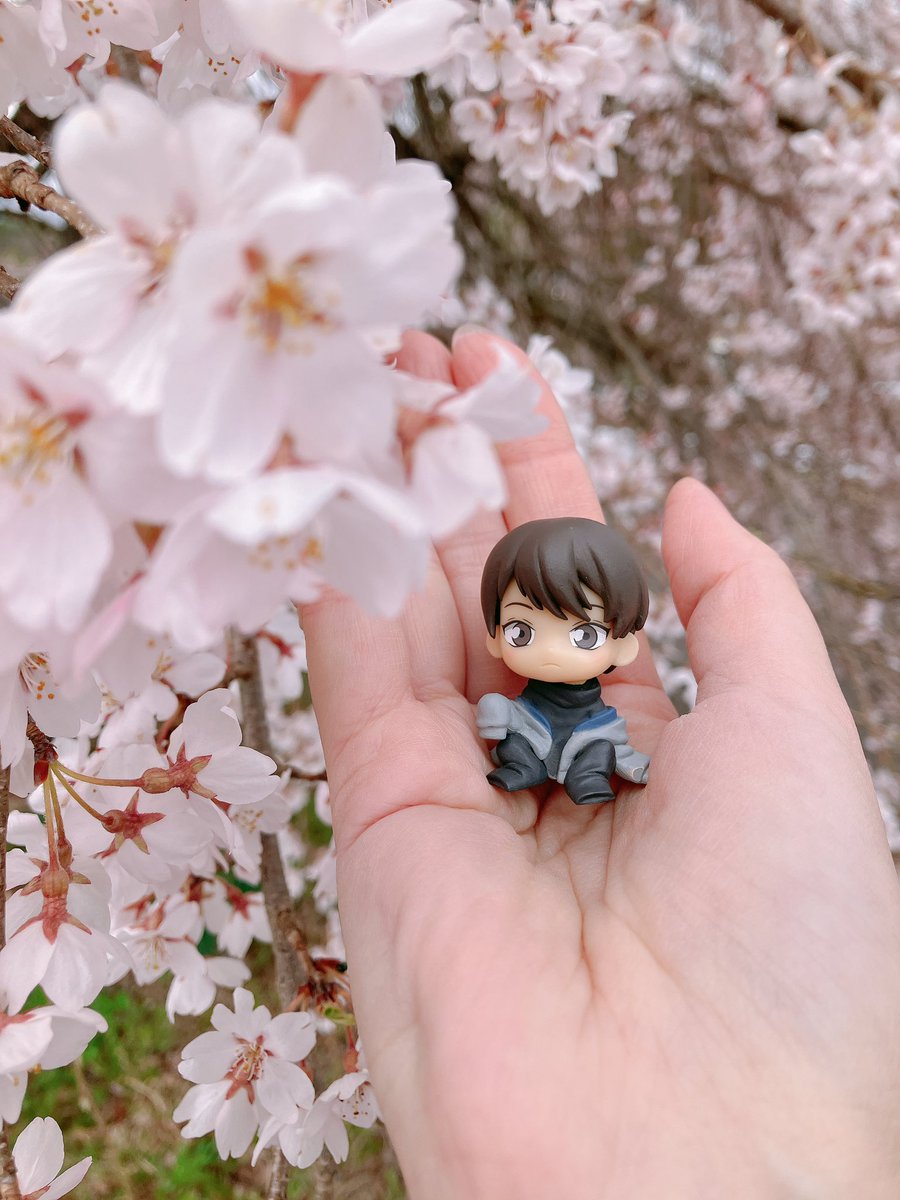 ひさや tweet media