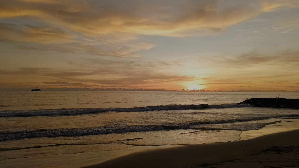 goldenbrowncrisp tweet media