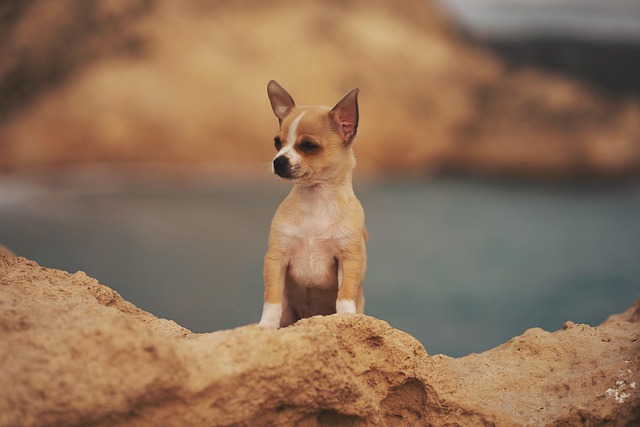 Marc Trejo tweet media