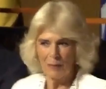 DilloPR🇵🇷 tweet media