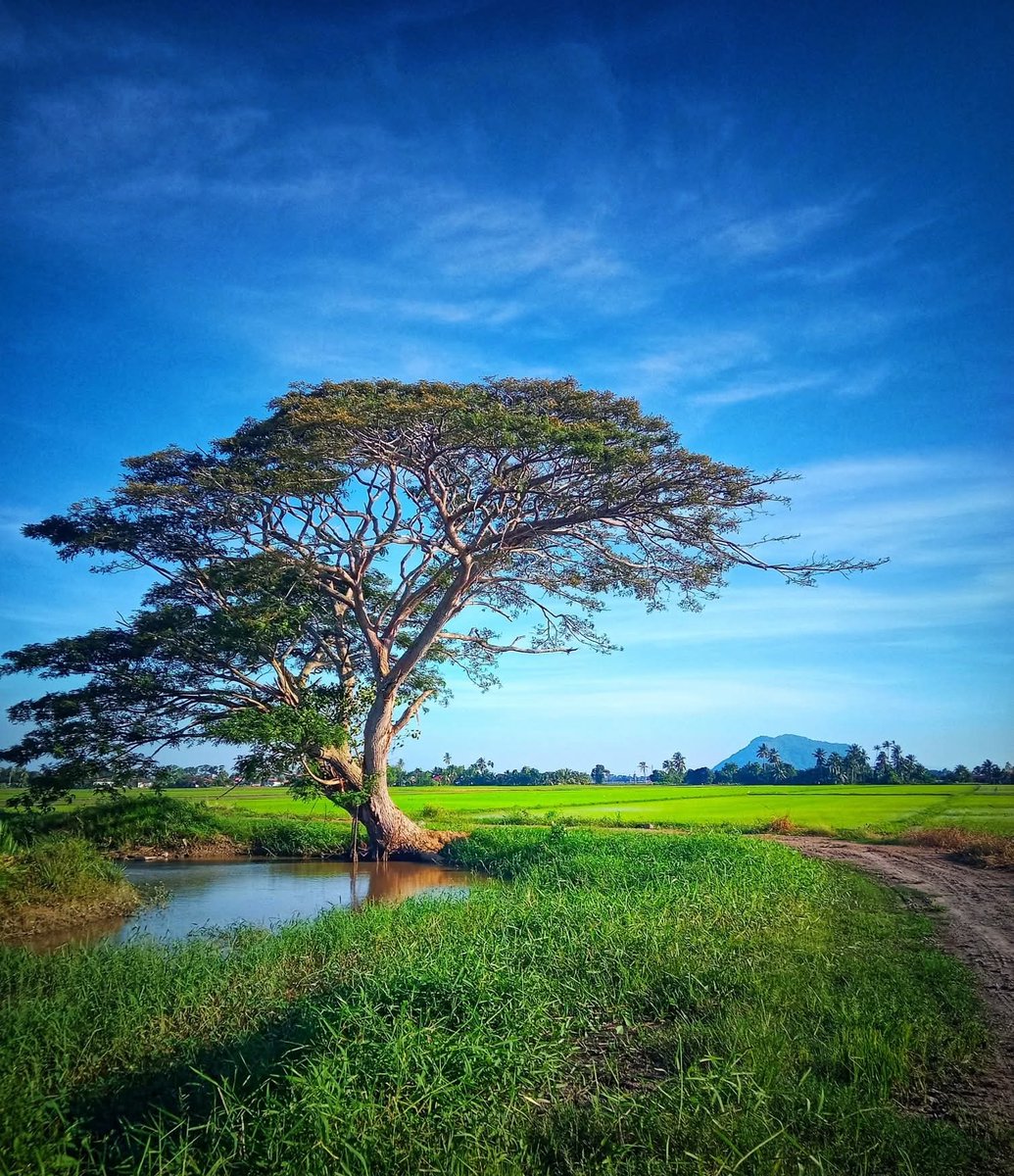 SHA~🇲🇾❤️🇹🇷 ~DM=BLOCK⛔️ tweet media