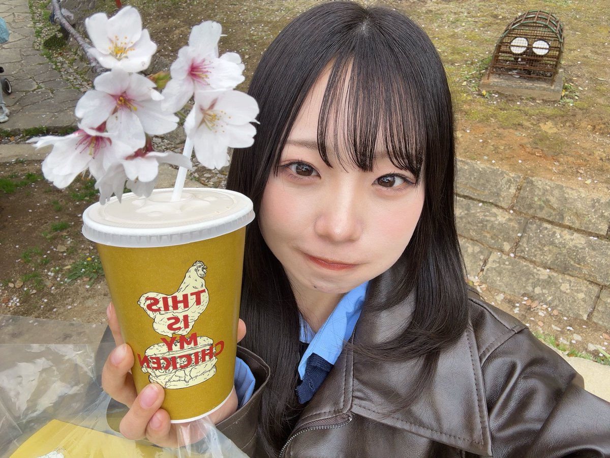eight_0612's tweet photo. マイチキ持ってお花見最高〜🐥

みんなのところも見頃かな？🌸

https://t.co/MlW4kVfT7D https://t.co/V8q29Wl9Rt