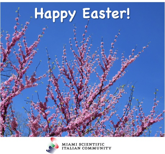 Miami Scientific Italian Community tweet media