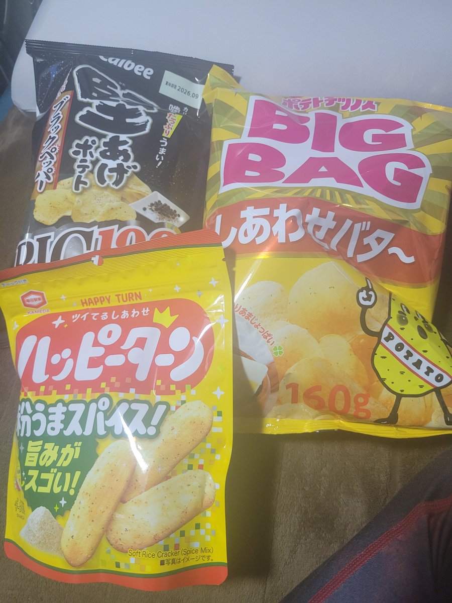 頑固一徹メダカおじさん🐟 tweet media