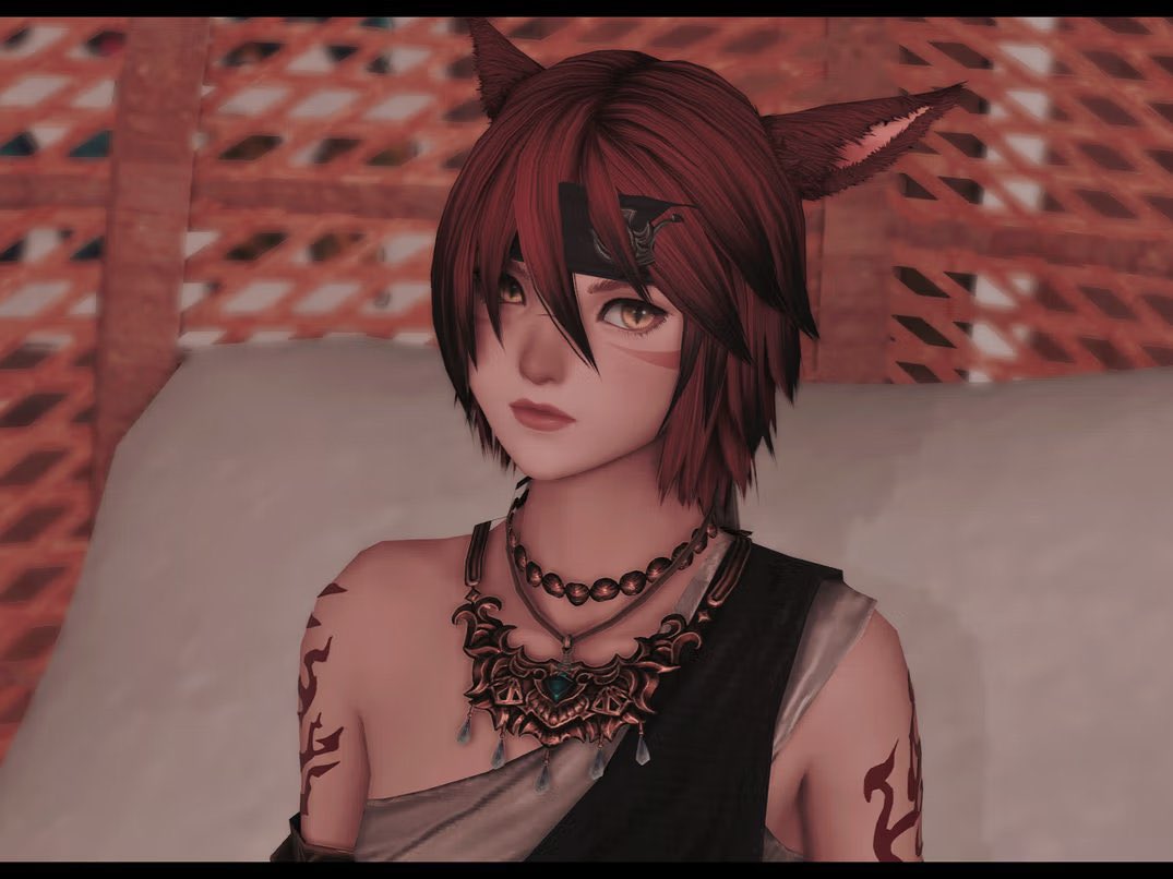 고통코미 tweet media