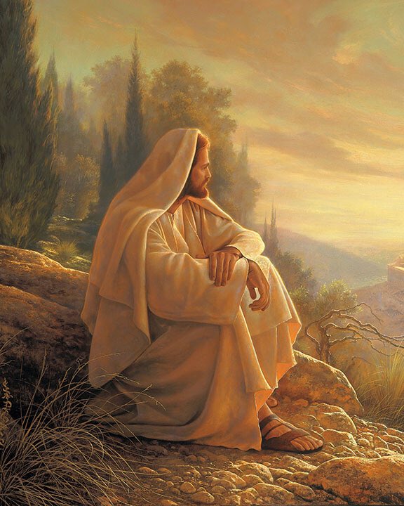 Pearls & Journeys tweet media