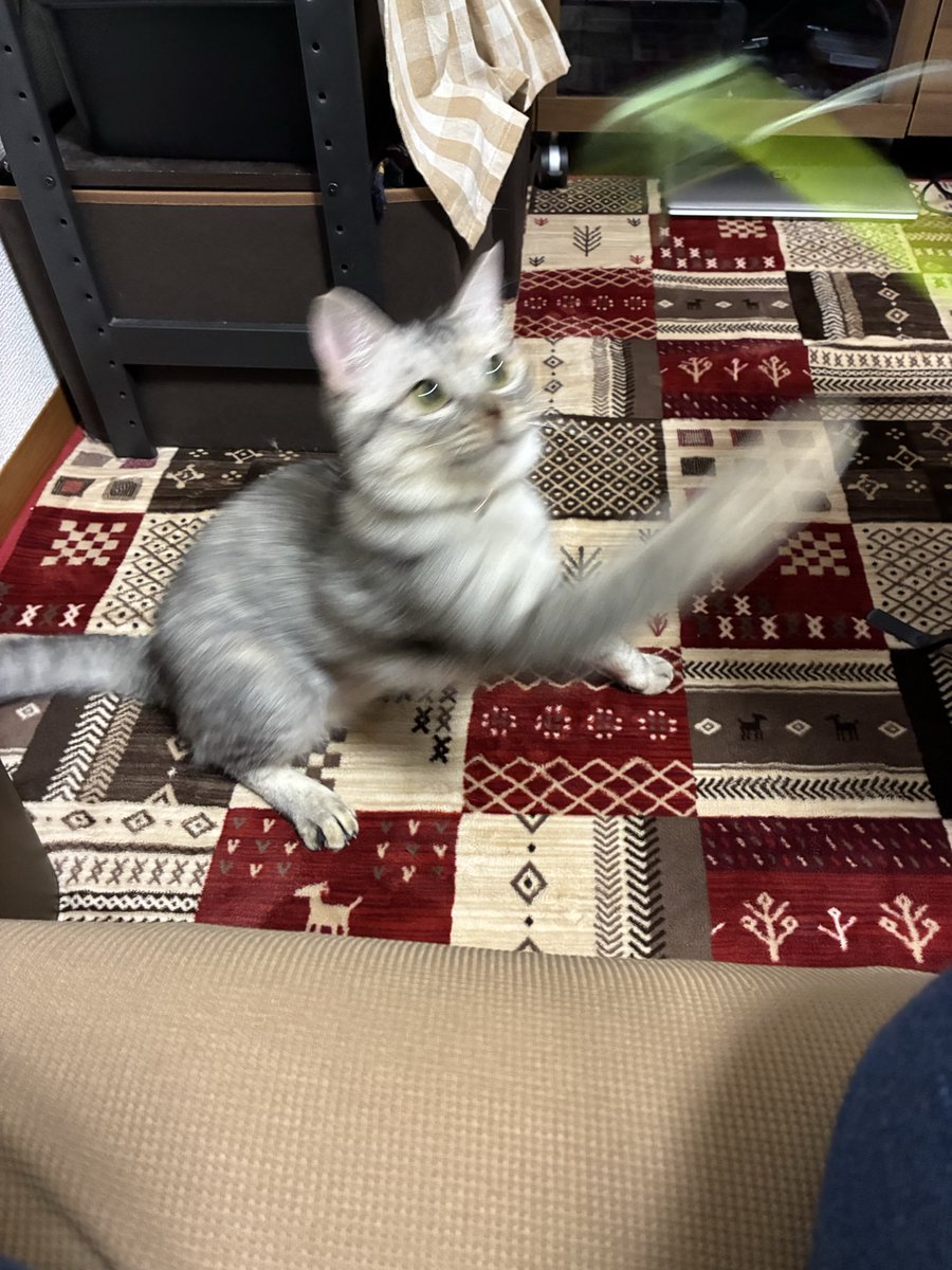 明日もSF見るぞー