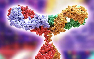 Mark Emalfarb tweet media