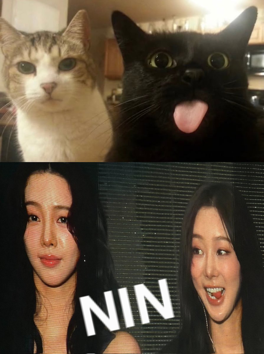 ☽ 🫦 tweet media