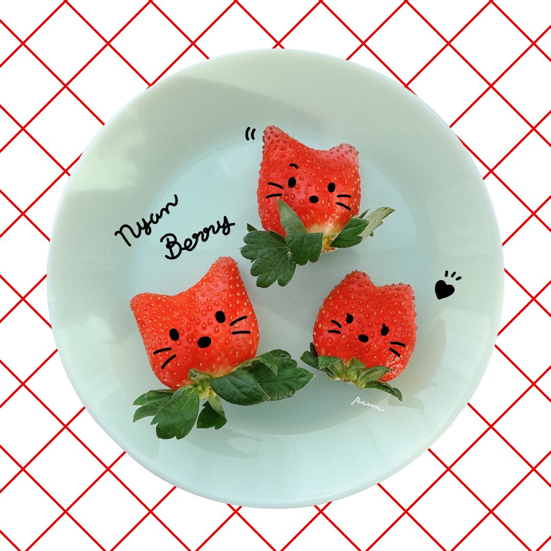 pum 【個展4/30〜5/10】 tweet media