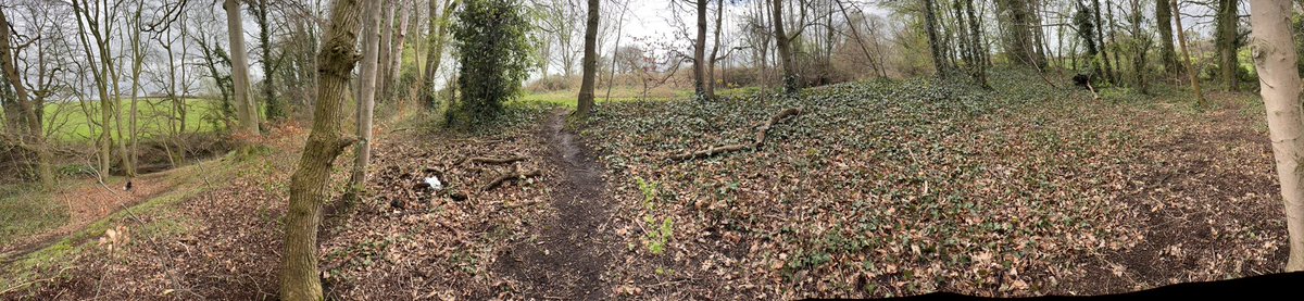 Puppy Bess and Auntie Kes tweet media