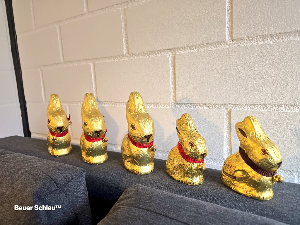 𝗕𝗮𝘂𝗲𝗿 𝗦𝗰𝗵𝗹𝗮𝘂™ tweet media