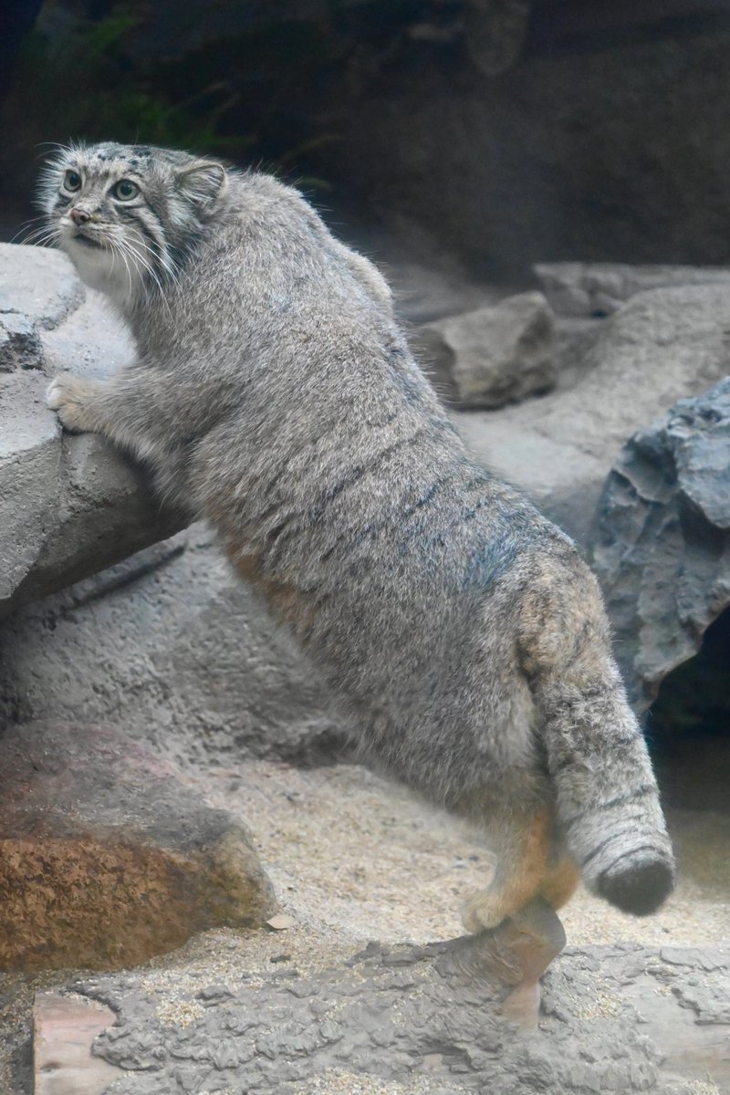 Mono🐰 tweet media