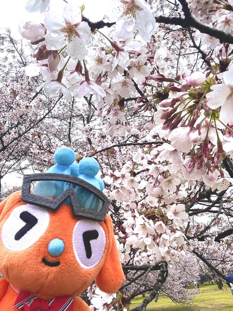 ZAKI🪶 tweet media