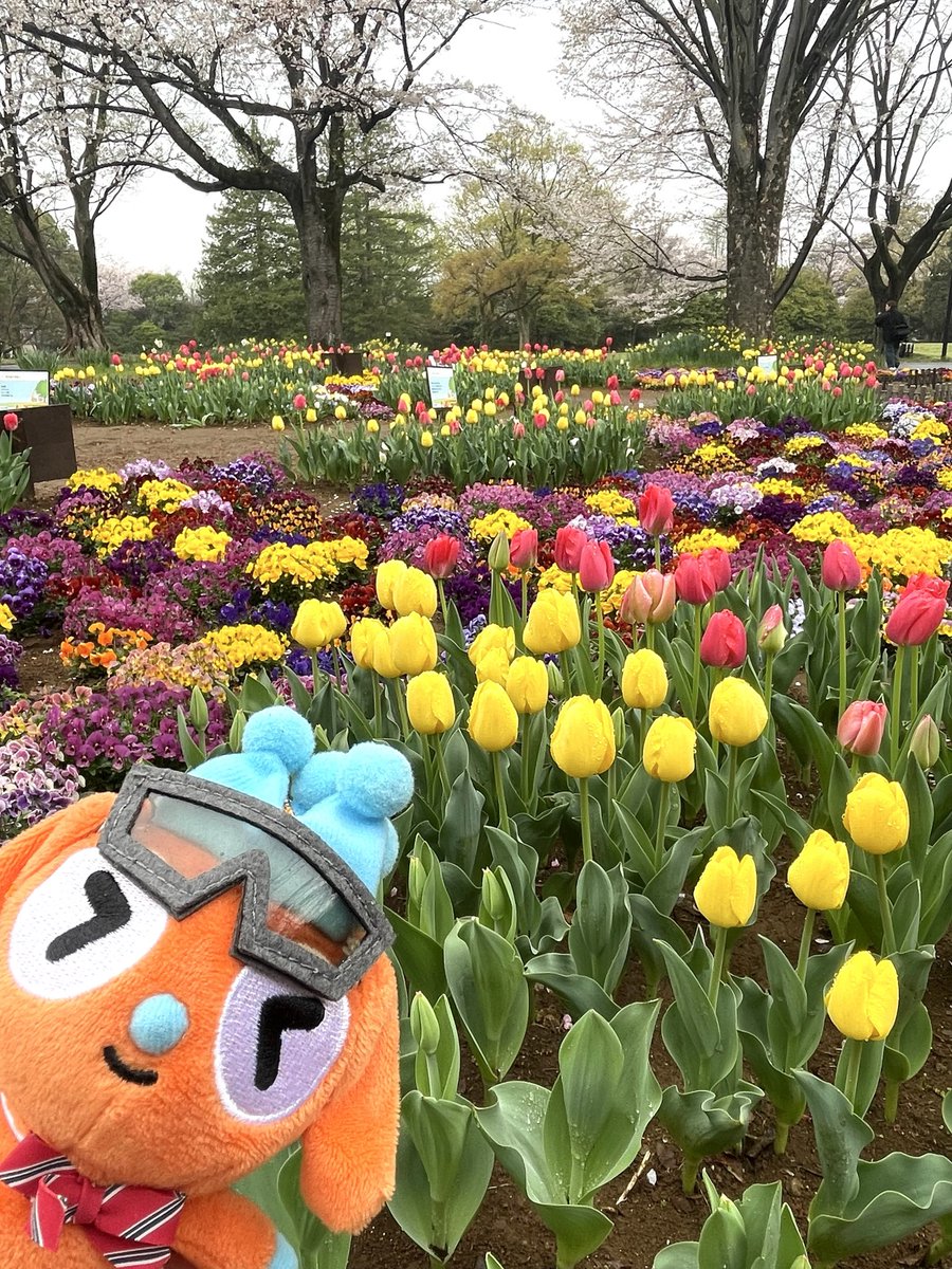 ZAKI🪶 tweet media